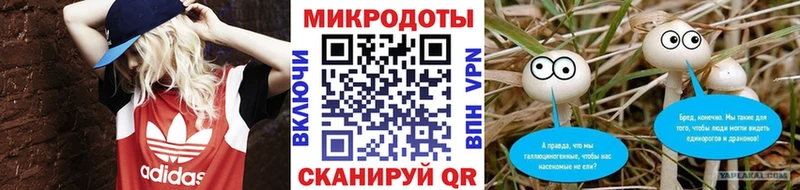 где купить наркоту  Мезень  Псилоцибиновые грибы мухоморы 